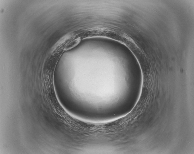 X0000060750967200511141154