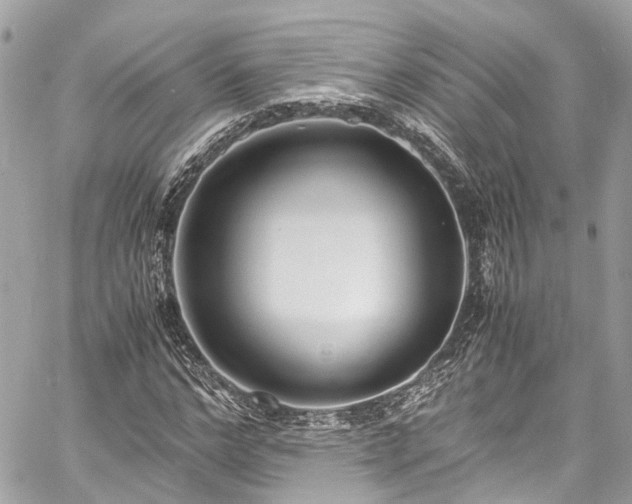 X0000060750968200511141154