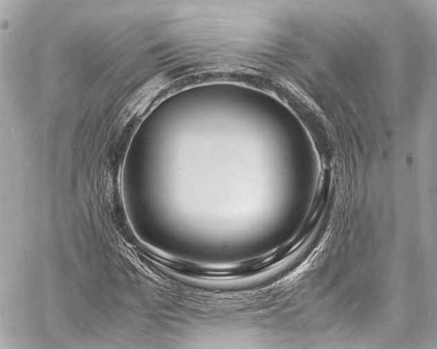 X0000060750969200511141154