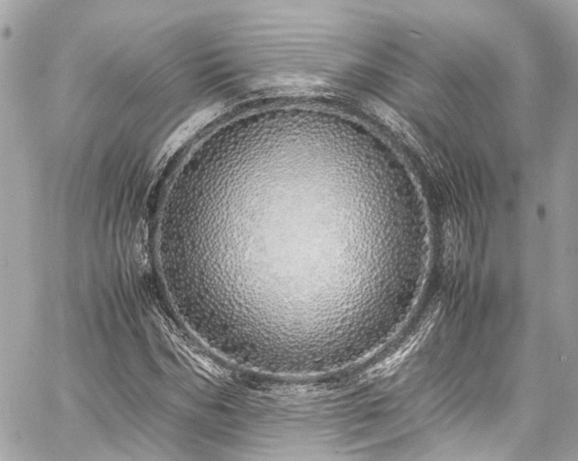 X0000060750970200511141154