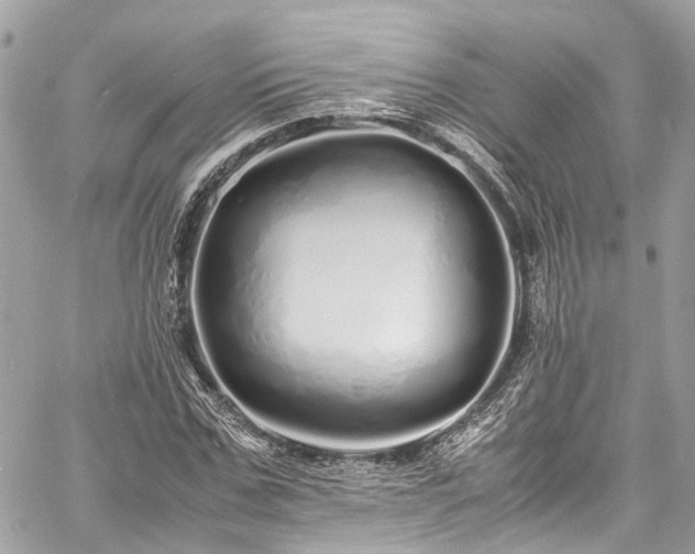 X0000060750971200511141154