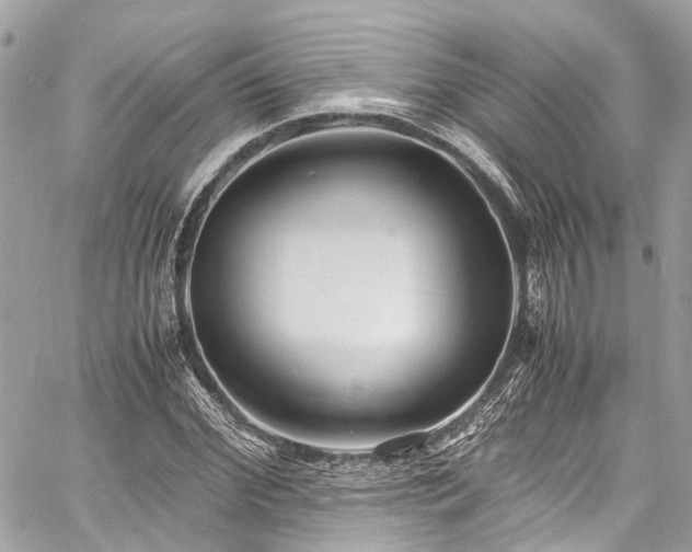 X0000060750972200511141154