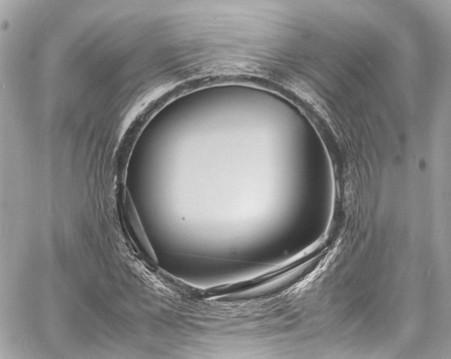 X0000060750973200511141154