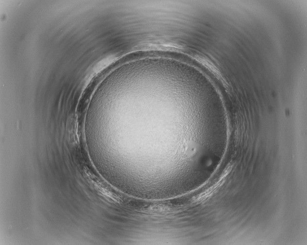 X0000060750974200511141154