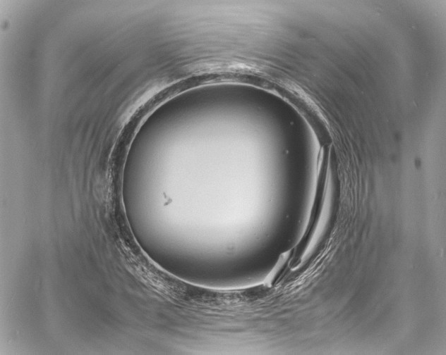 X0000060750975200511141154