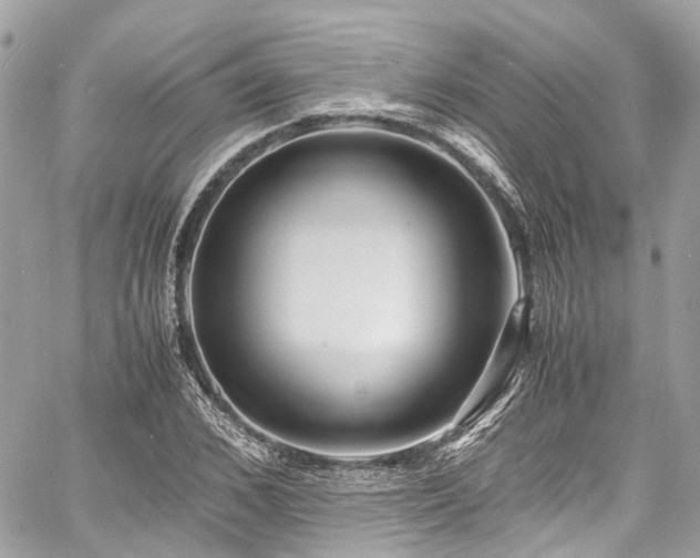 X0000060750976200511141154