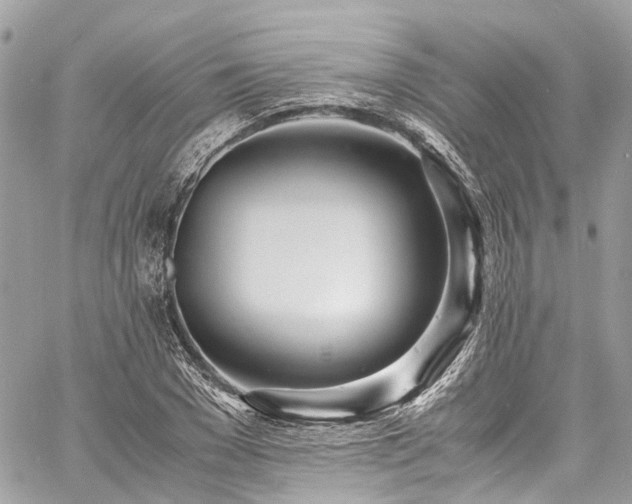 X0000060750977200511141154