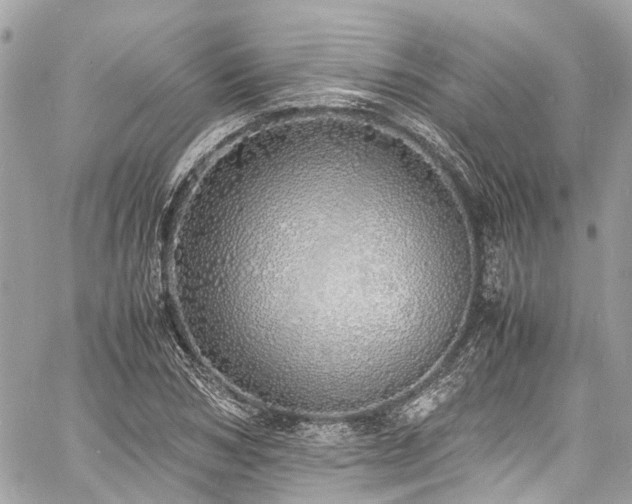 X0000060750978200511141154