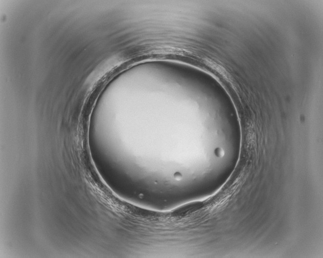 X0000060750979200511141154