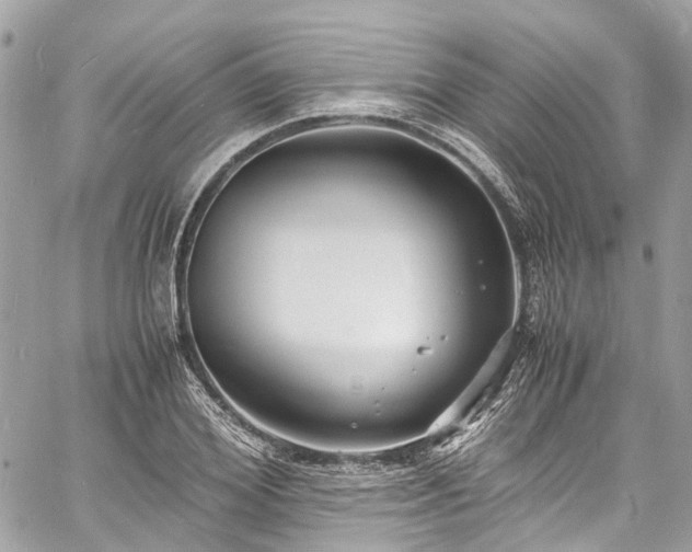 X0000060750980200511141154