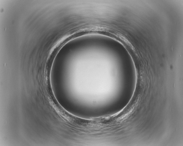 X0000060750981200511141154