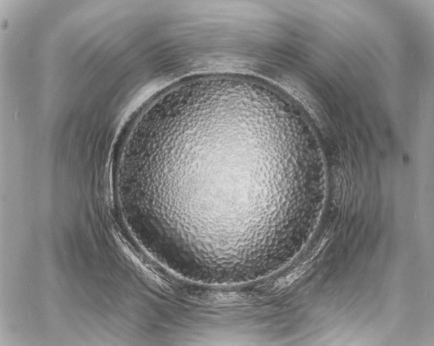 X0000060750982200511141154