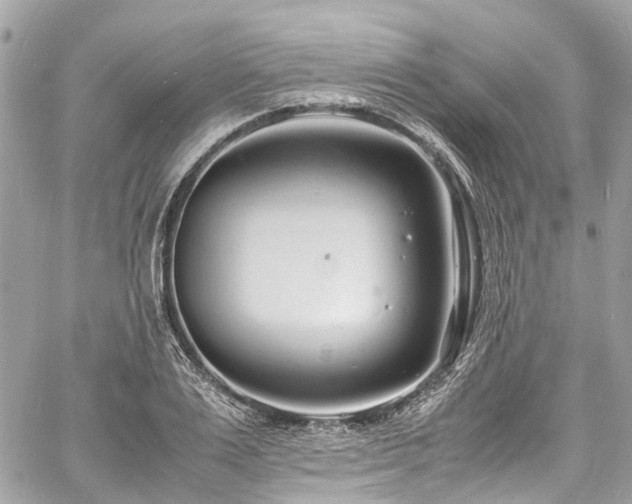 X0000060750983200511141154