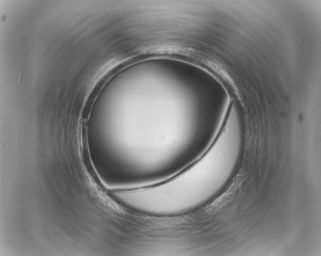 X0000060750984200511141154