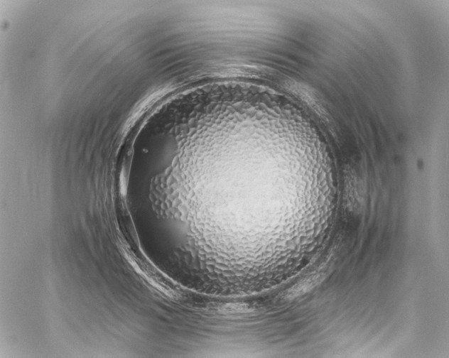 X0000060750986200511141154