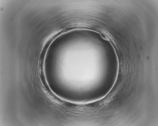 X0000060750987200511141154