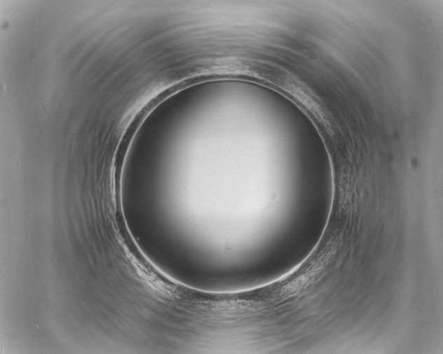 X0000060750988200511141154