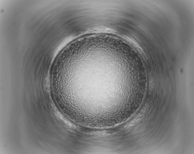 X0000060750990200511141154