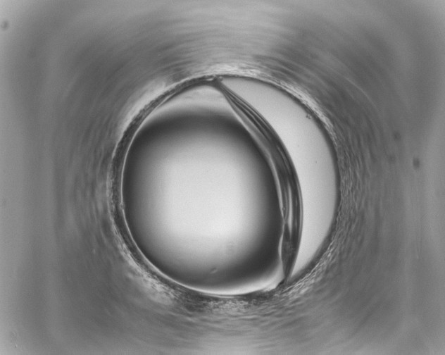 X0000060750991200511141154