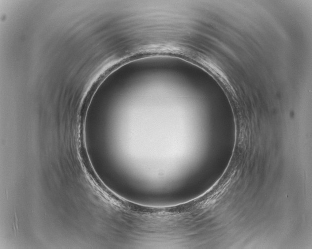 X0000060750992200511141154