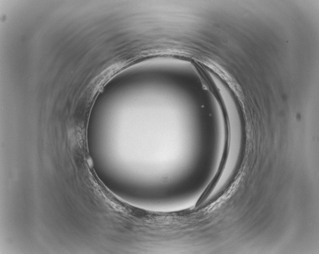 X0000060750993200511141154