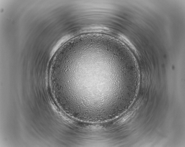 X0000060750994200511141154