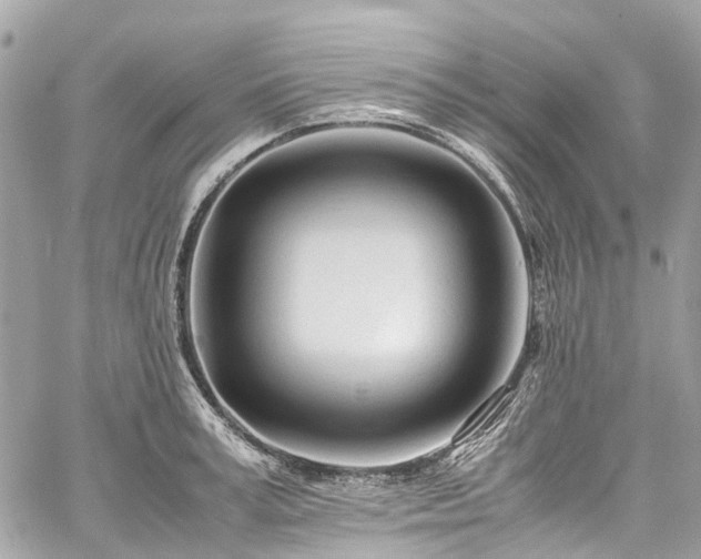 X0000060750995200511141154