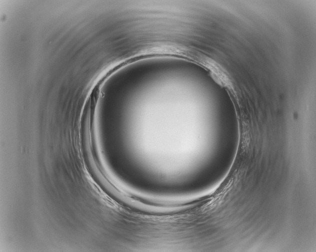 X0000060750996200511141154