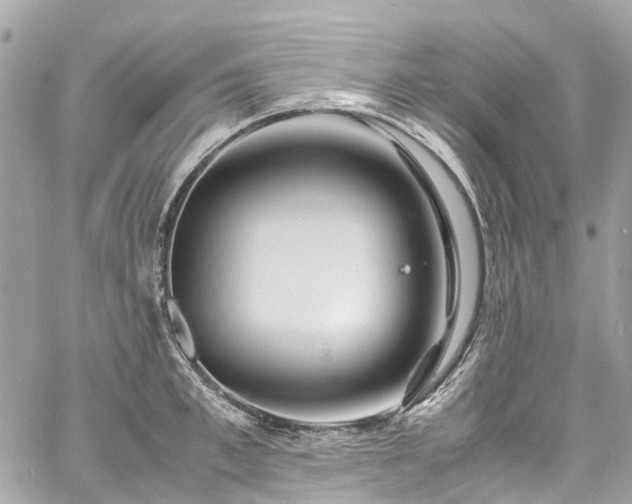 X0000060750997200511141154