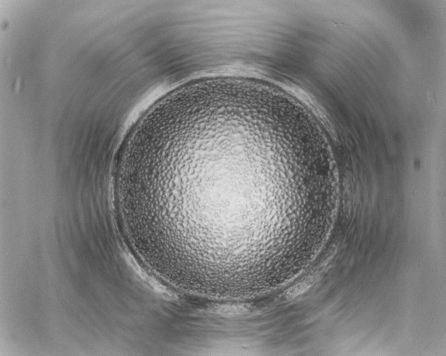 X0000060750998200511141154