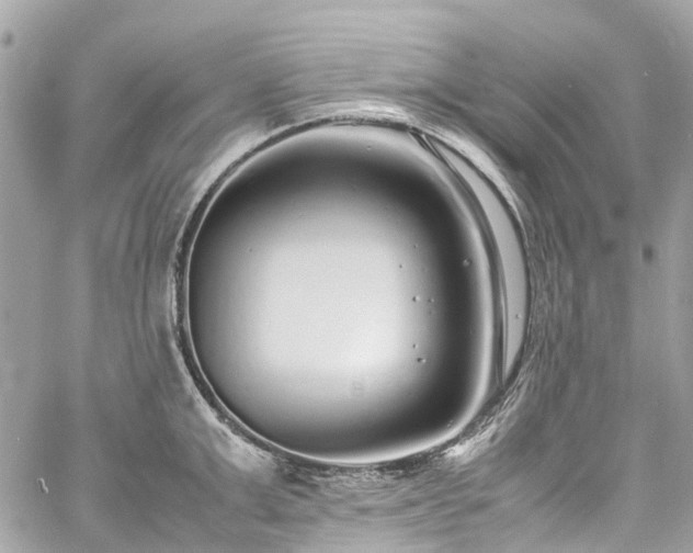 X0000060750999200511141154