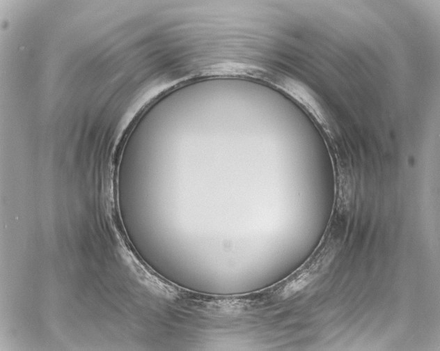 X0000060751000200511141154