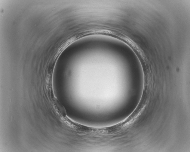 X0000060751001200511141154