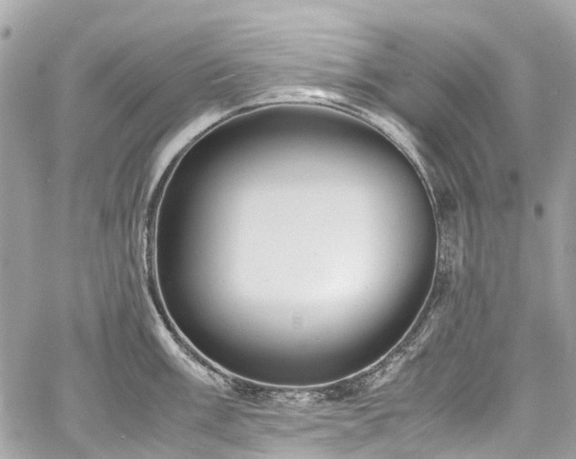 X0000060751003200511141154