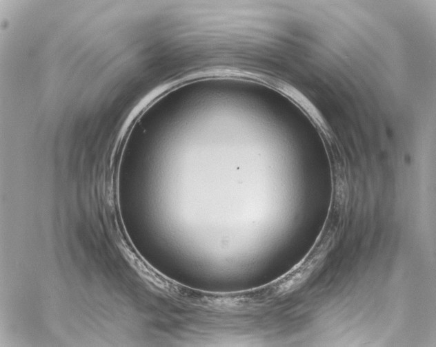 X0000060751004200511141154