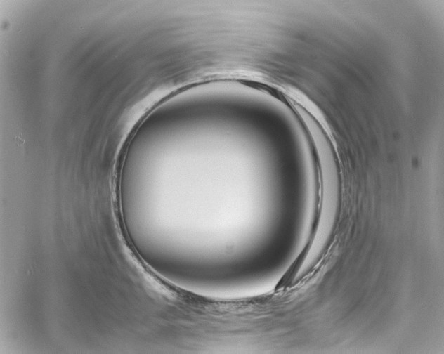 X0000060751005200511141154