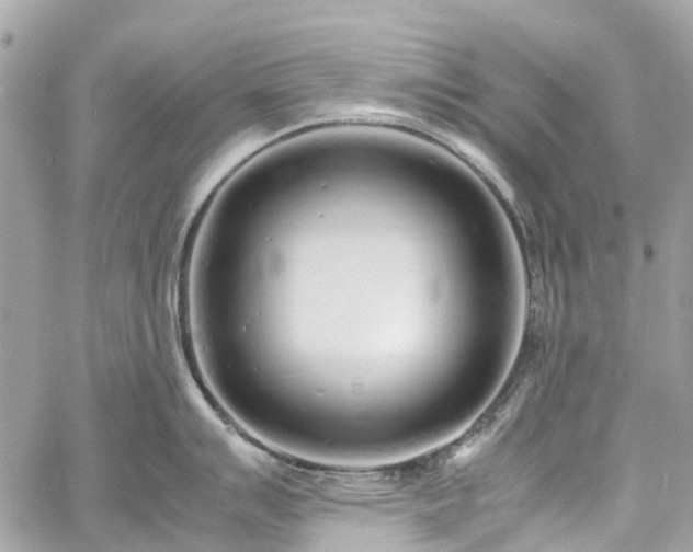 X0000060751007200511141154