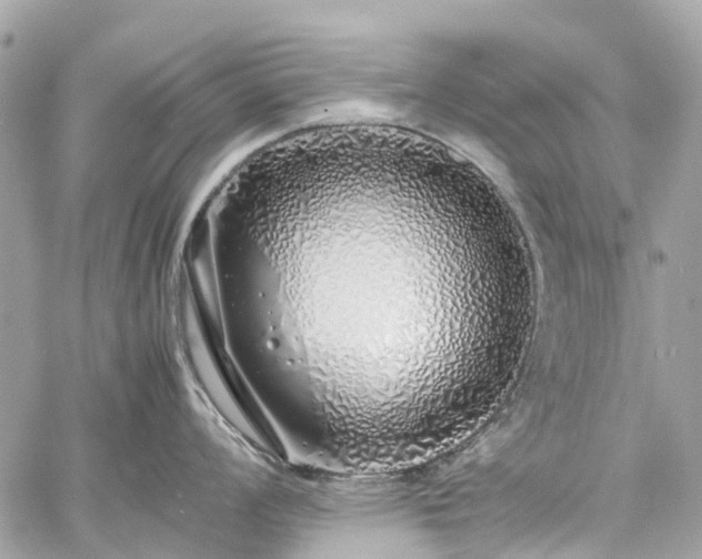 X0000060751008200511141154