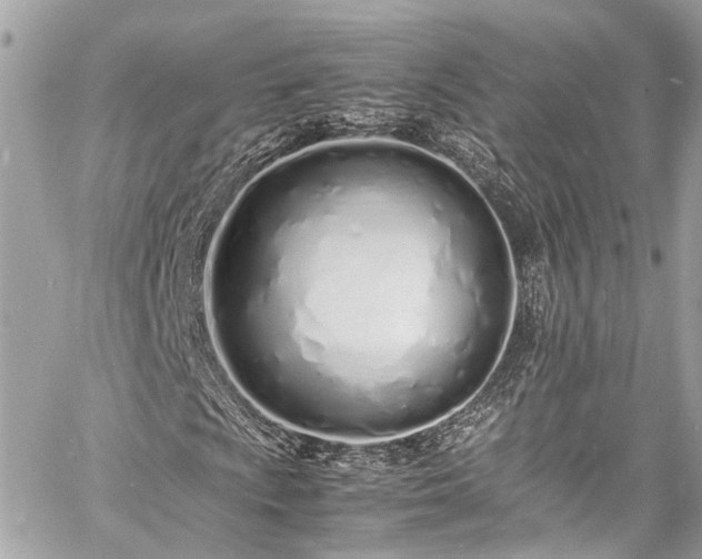 X0000060751009200511141153