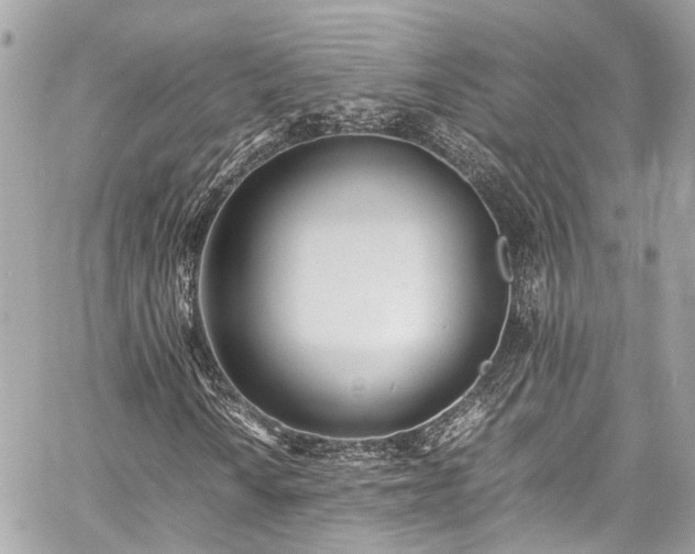 X0000060751010200511141153