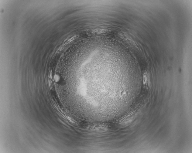 X0000060751011200511141153