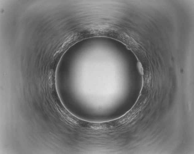 X0000060751012200511141153