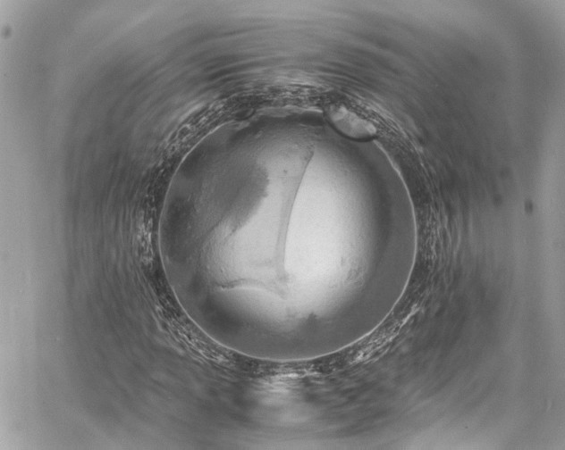 X0000060751013200511141153