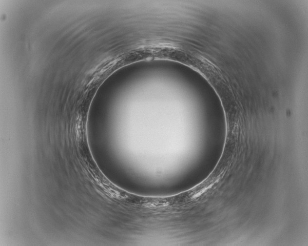 X0000060751014200511141153