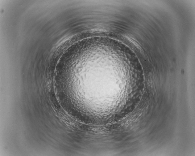 X0000060751015200511141153