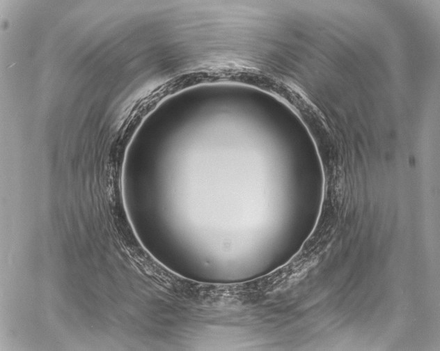 X0000060751016200511141153