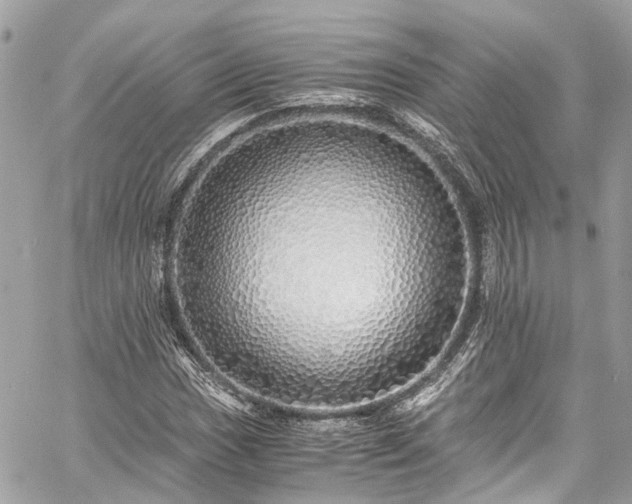 X0000060751017200511141153