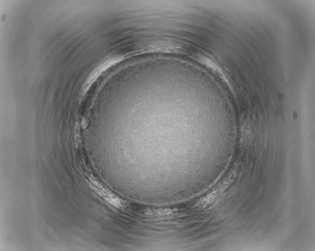 X0000060751019200511141153