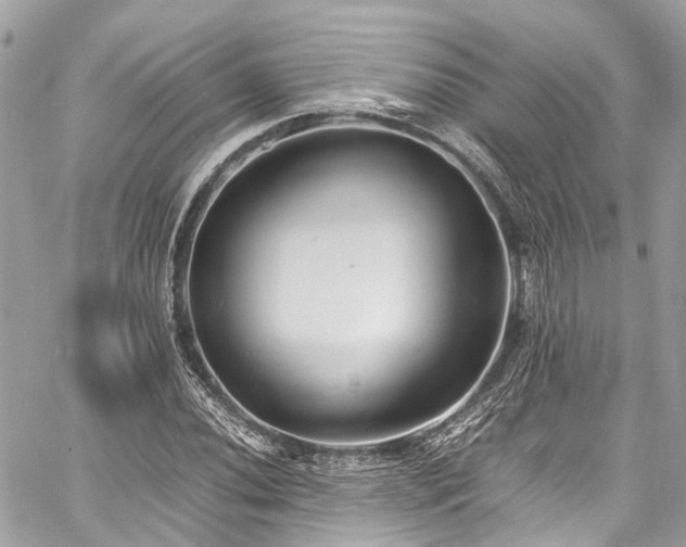 X0000060751020200511141153