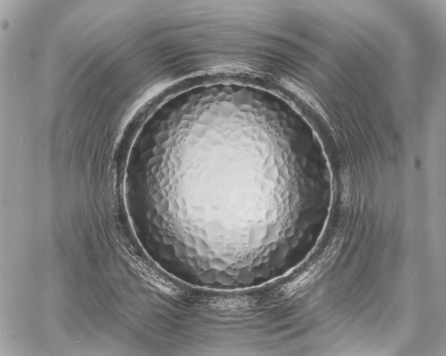 X0000060751021200511141153